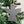 Personalised Angel - Hanging Decoration