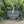 Personalised Slate Heart - Hanging Decoration