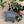 Personalised Star - Hanging Decoration