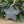Personalised Star - Hanging Decoration