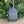 Personalised Hanging House - New home Gift/Decoration