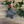 Personalised Star - Hanging Decoration