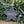 Personalised Star - Hanging Decoration
