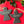 Personalised Angel - Hanging Decoration
