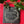 Personalised Slate Coaster - Christmas at the 'Family Name'
